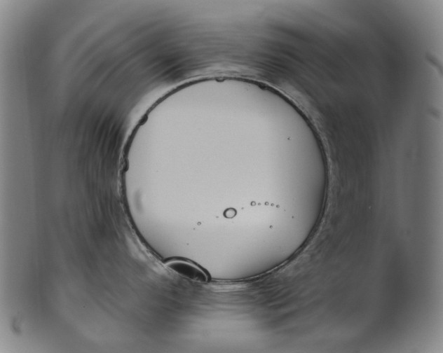 X0000100871296200807111308