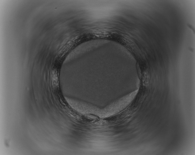 X0000100871298200807111307