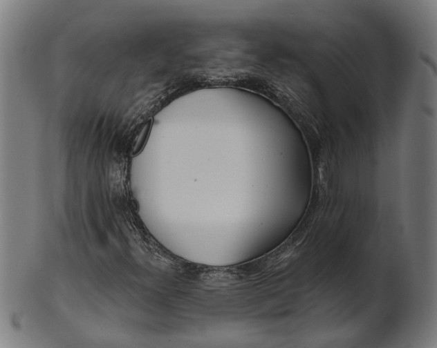 X0000100871300200807111307