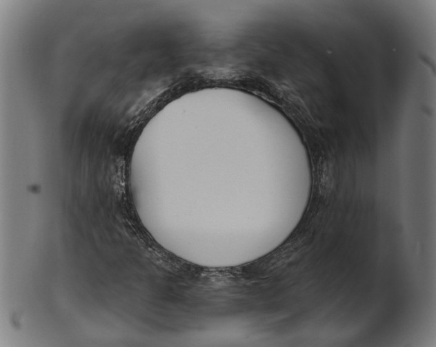 X0000100871301200807111307