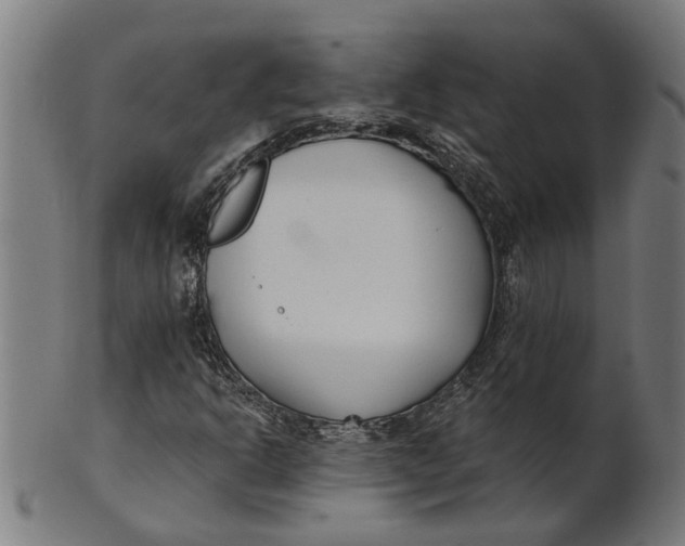 X0000100871302200807111307