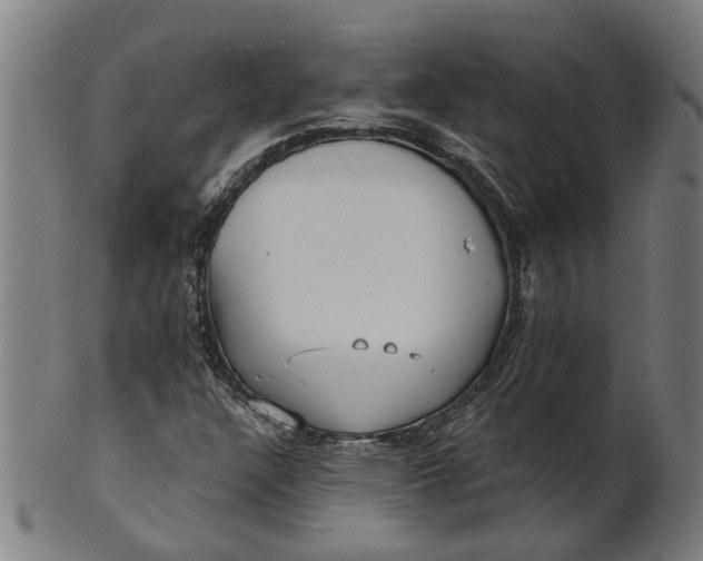 X0000100871304200807111308