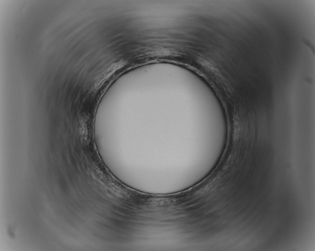 X0000100871305200807111308