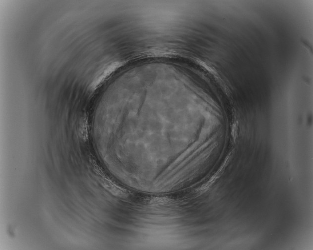 X0000100871306200807111308