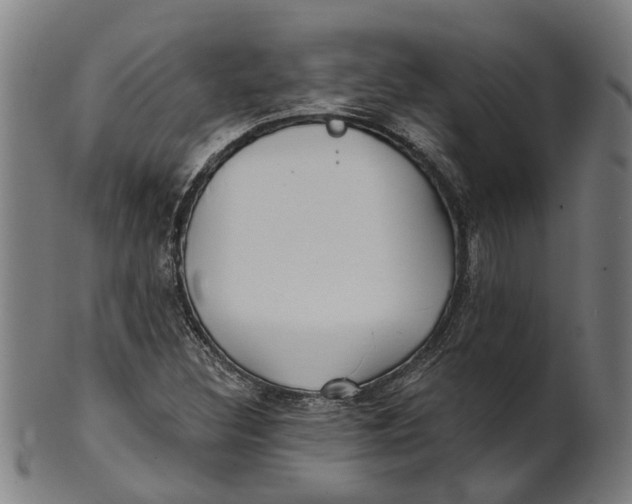 X0000100871308200807111308