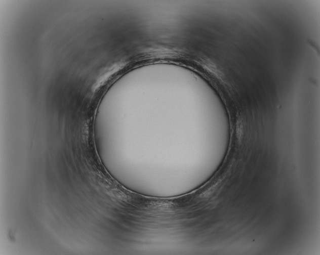 X0000100871309200807111308