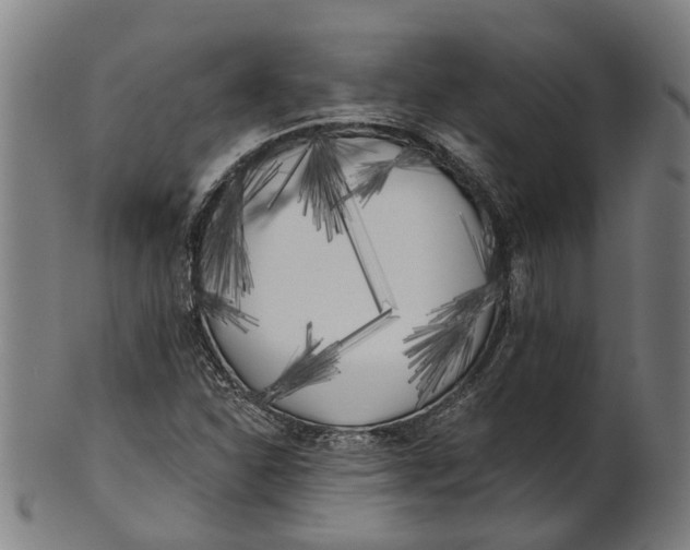 X0000100871310200807111308