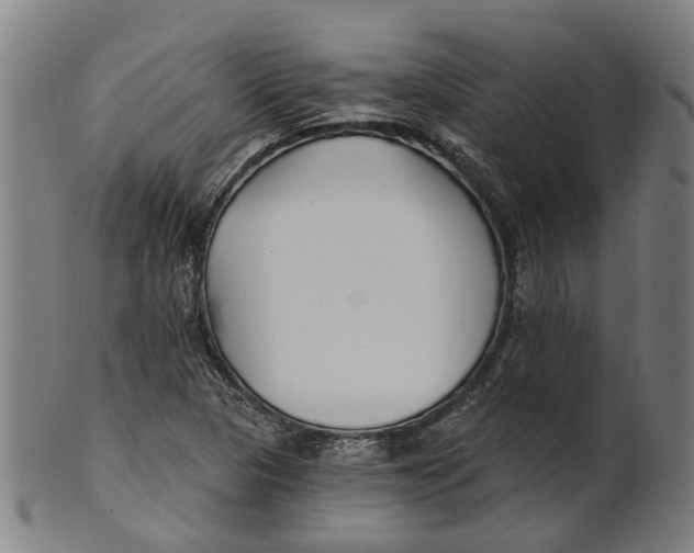 X0000100871313200807111308