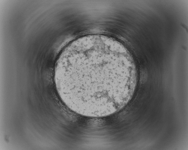 X0000100871314200807111308