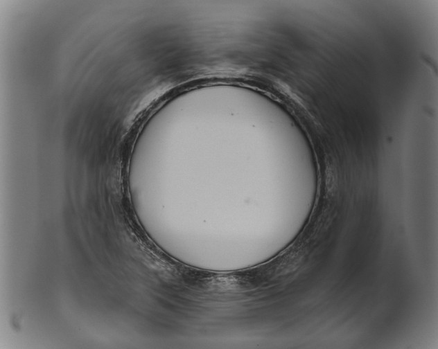 X0000100871315200807111308