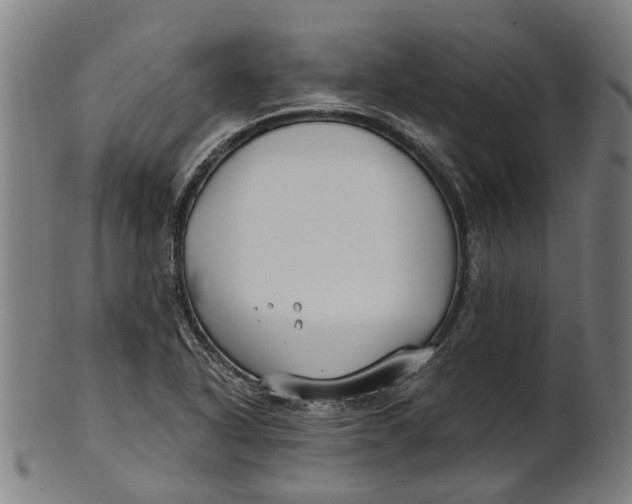 X0000100871318200807111308