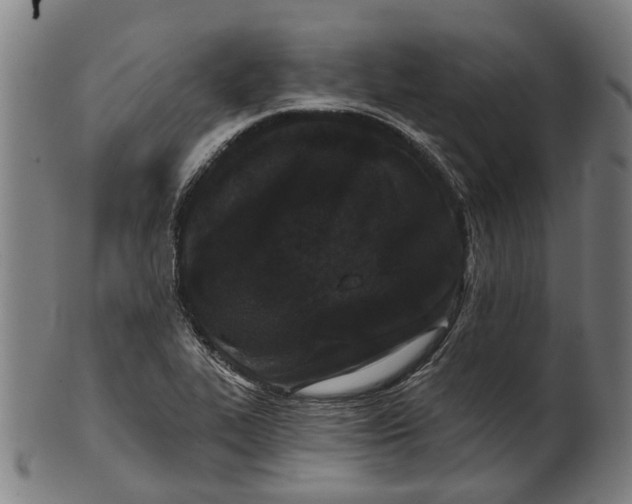 X0000100871319200807111308