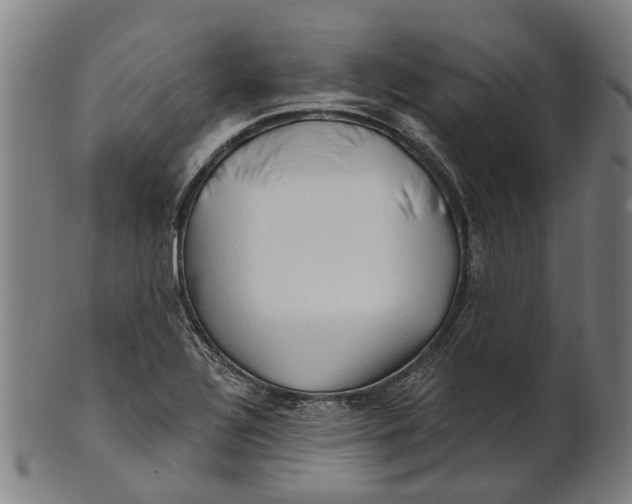 X0000100871320200807111308