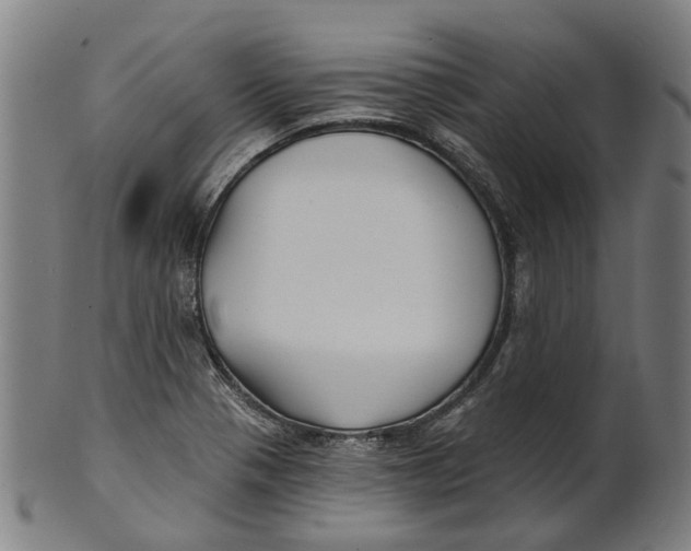 X0000100871321200807111308