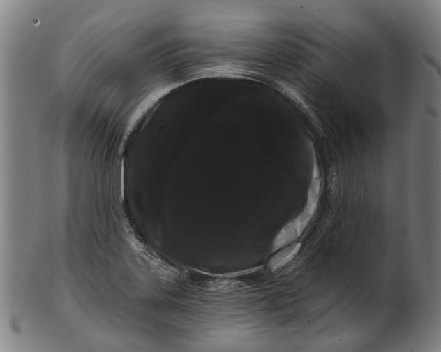 X0000100871323200807111308