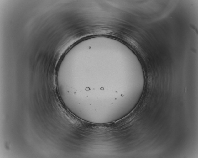 X0000100871324200807111308