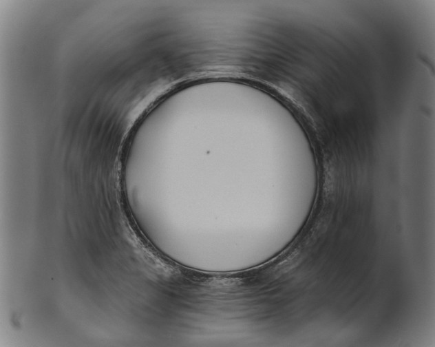 X0000100871325200807111308