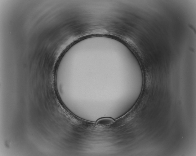 X0000100871326200807111308