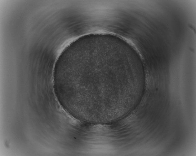 X0000100871327200807111308