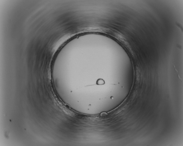 X0000100871328200807111308