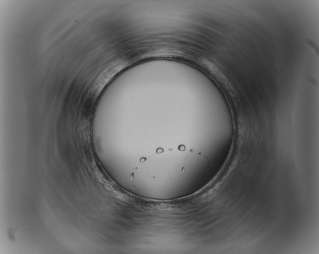 X0000100871329200807111308