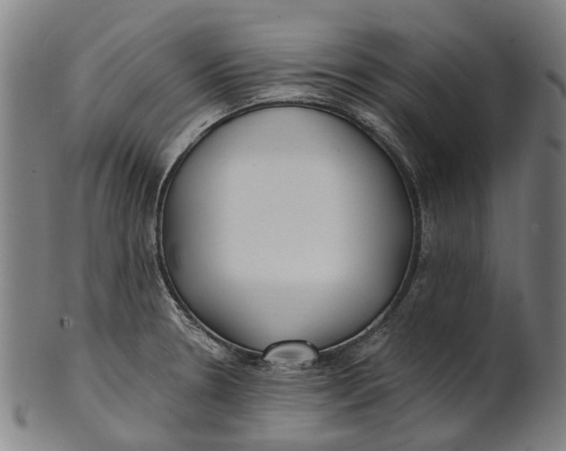 X0000100871330200807111308