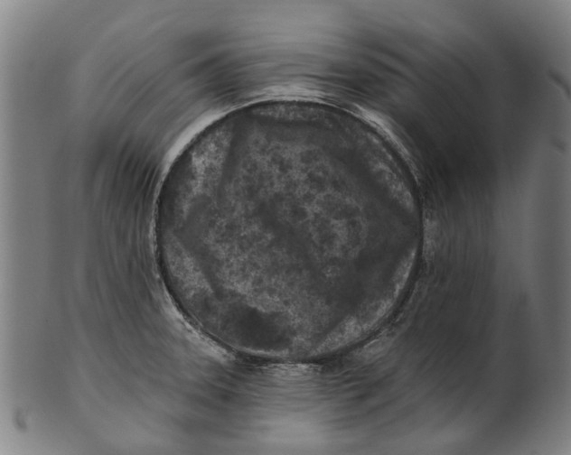 X0000100871331200807111308