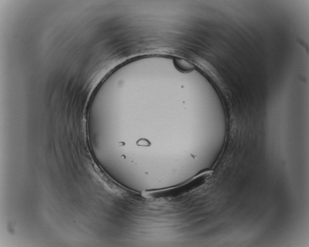 X0000100871332200807111308