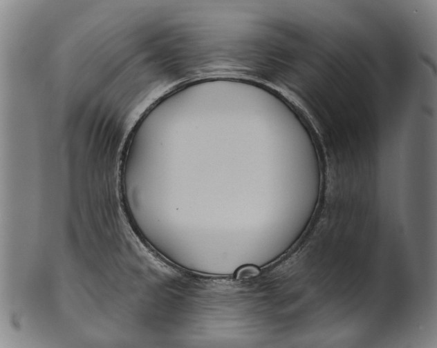 X0000100871333200807111308