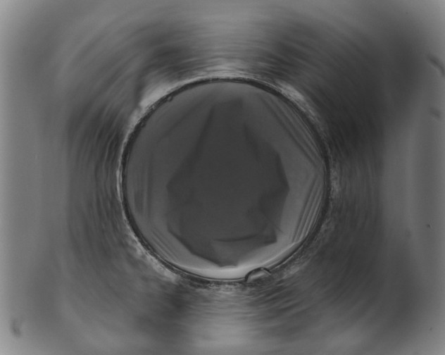 X0000100871334200807111308