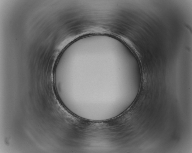 X0000100871335200807111308