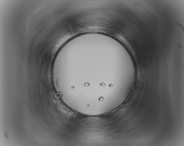 X0000100871336200807111308