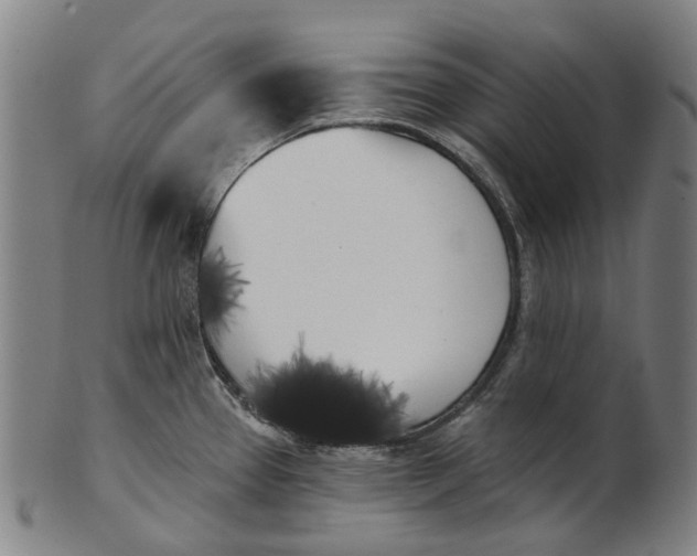 X0000100871337200807111308