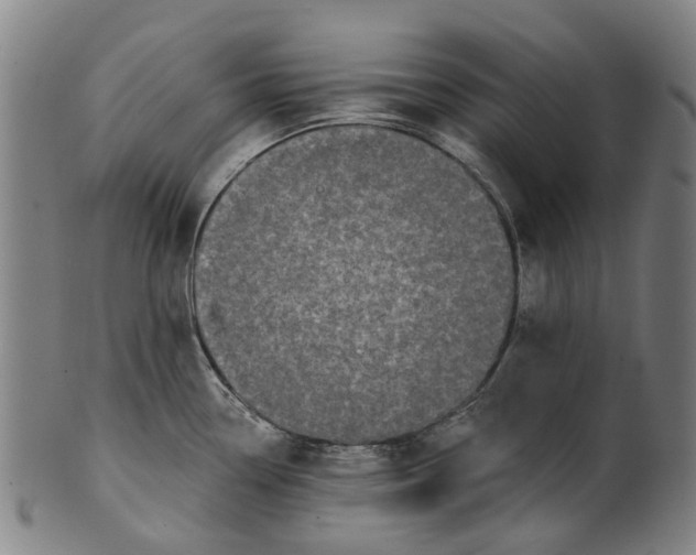 X0000100871338200807111308