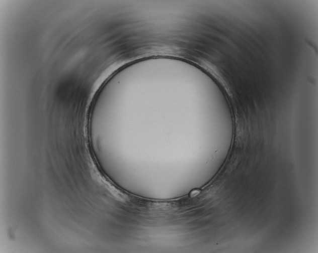 X0000100871339200807111308