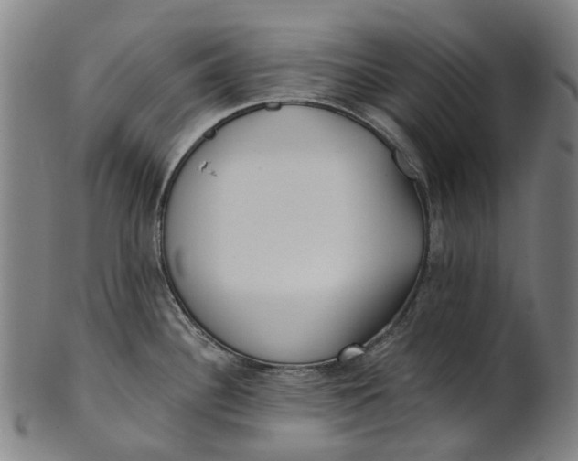 X0000100871340200807111308