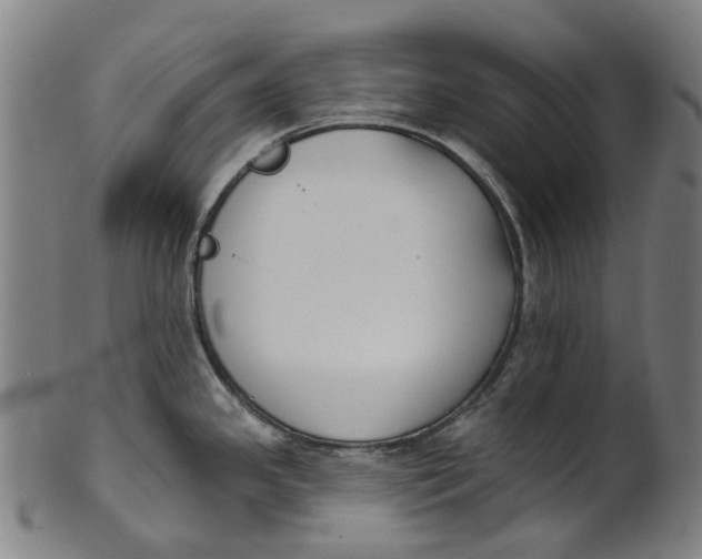 X0000100871341200807111308