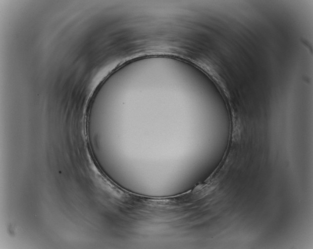 X0000100871342200807111308