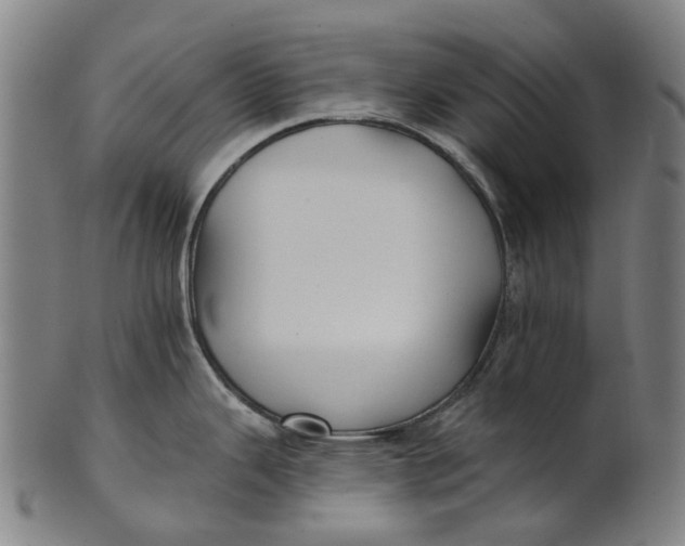 X0000100871343200807111308