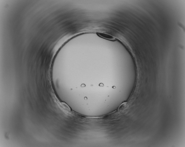 X0000100871344200807111308