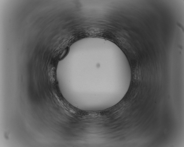 X0000100871346200807111307