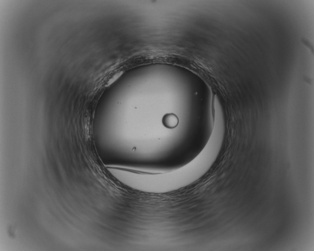 X0000100871348200807111307