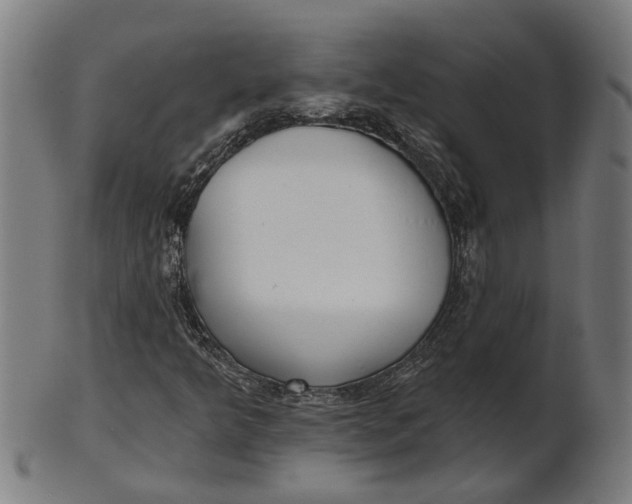 X0000100871349200807111307