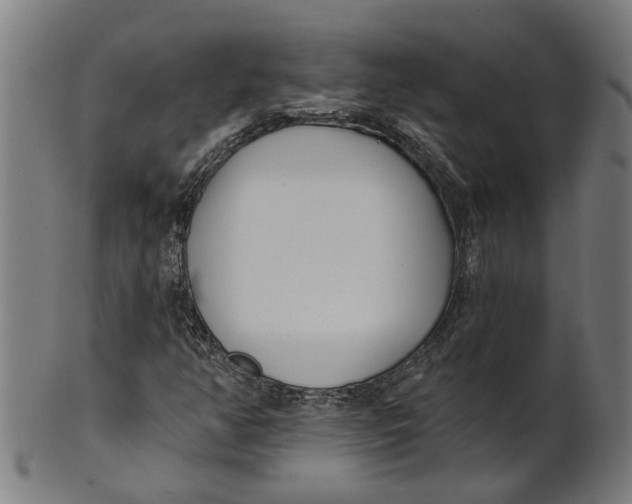 X0000100871350200807111307