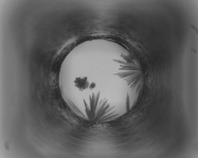 X0000100871351200807111307