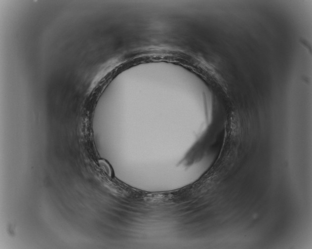 X0000100871352200807111307