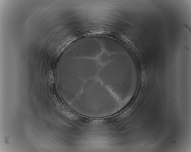 X0000100871353200807111307