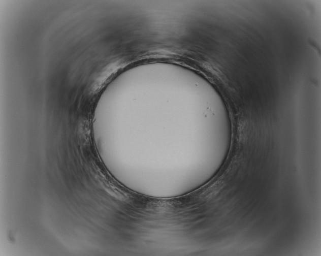 X0000100871355200807111307