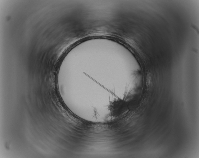 X0000100871356200807111307