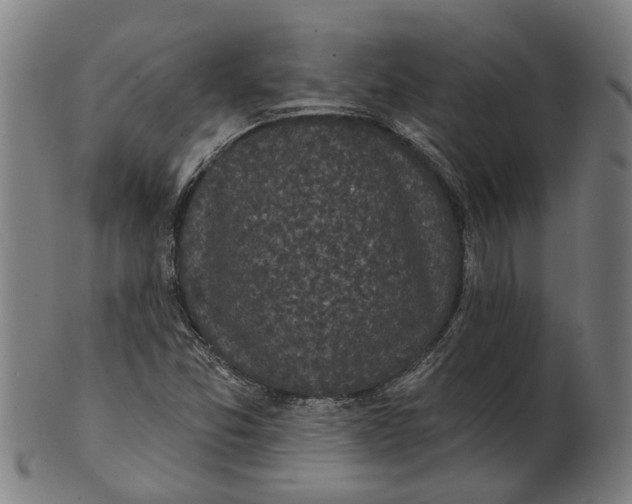 X0000100871357200807111307